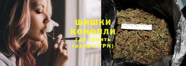 гидропоника Горнозаводск