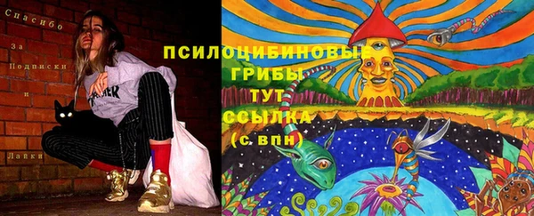 гидропоника Горнозаводск