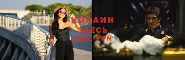 гидропоника Горнозаводск