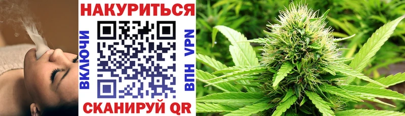Бошки марихуана Bruce Banner  Купить где  Кубинка 